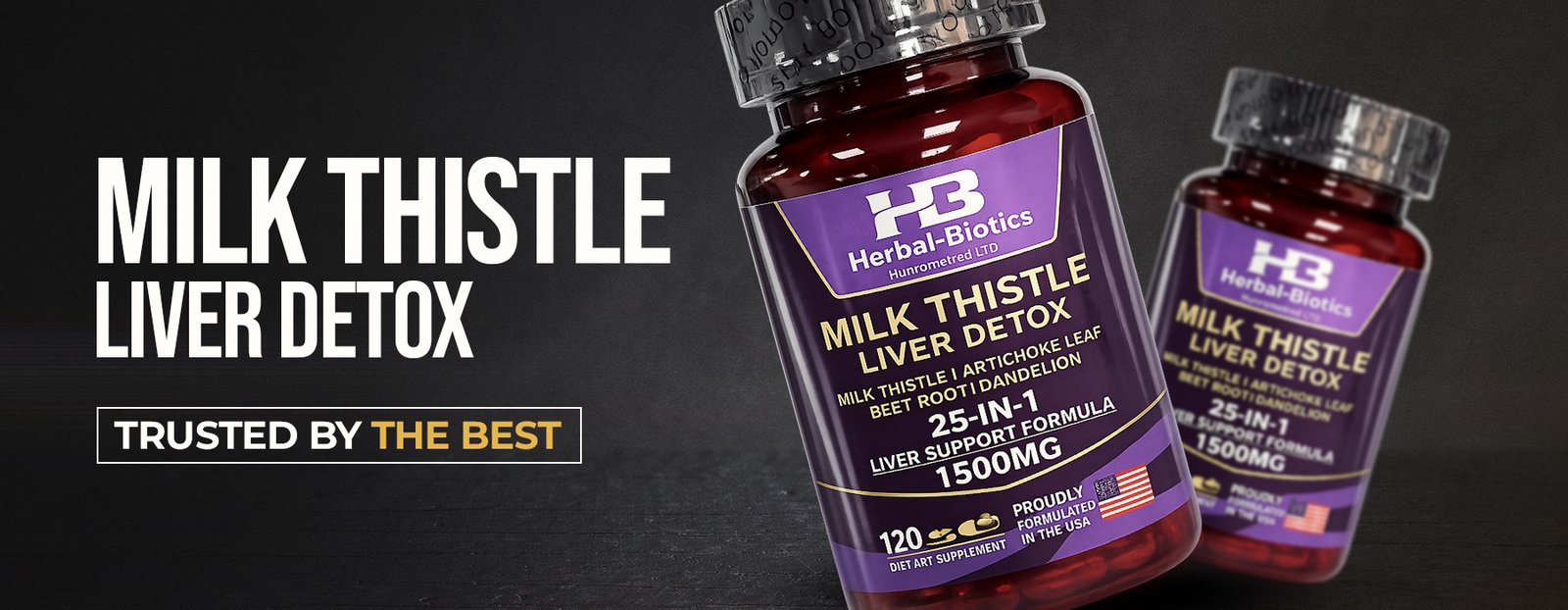 HB Banners file 01 iii